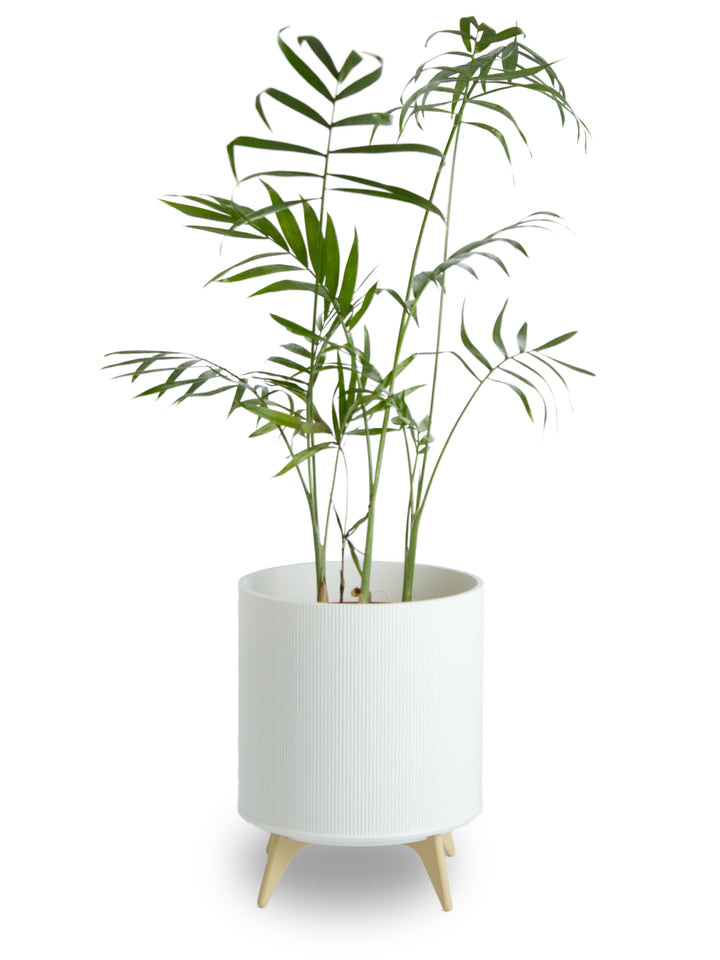 Linea Pot