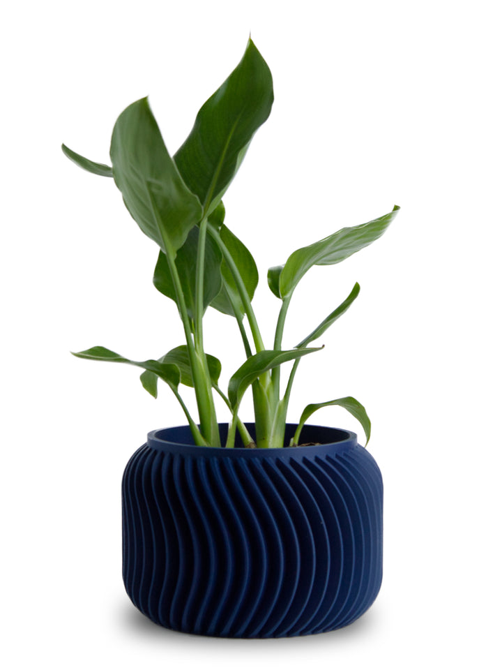 Onda Pot